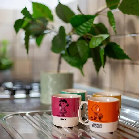 Design Sassari-carlo Alberto * 사사리